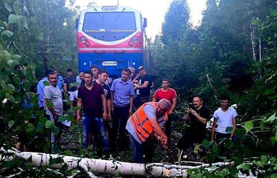 Фото предоставил рекламодатель