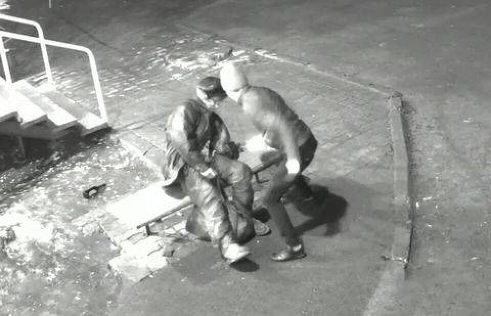 Стопкадр с видео