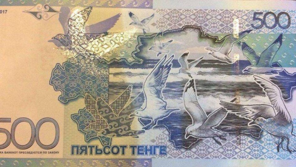 Швейцарский фотограф заказал банкноту в 500 тенге с чайкой на eBay