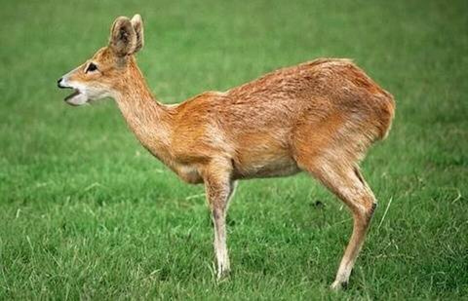 Фото с сайта hdlife.ru