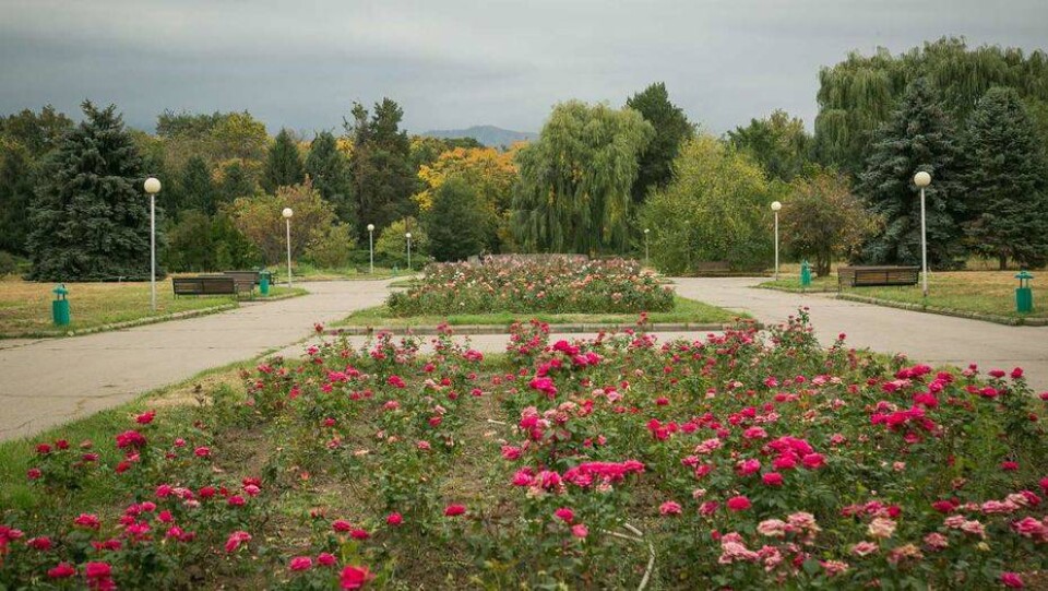 Фото Алмаза Толеке