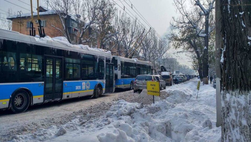 Житель Алматы отсудил у перевозчика ущерб за разбитое троллейбусными проводами авто