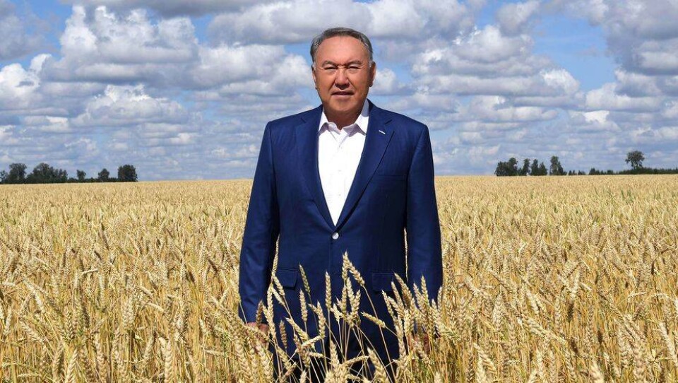 Назарбаев отметил необходимость оптимизации крупных компаний