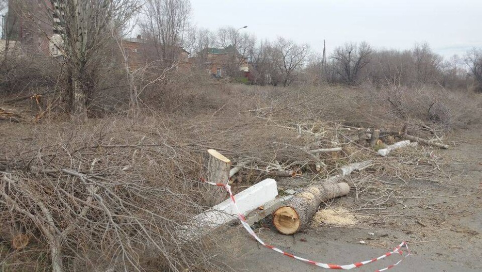 Informburo.kz