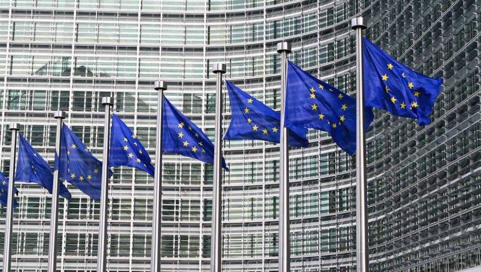 Выборы в Европарламент: явка избирателей превысила 50%. Это рекорд за последние годы