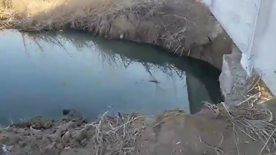 Сброс канализационных отходов в Капшагайское водохранилище сняли на видео 