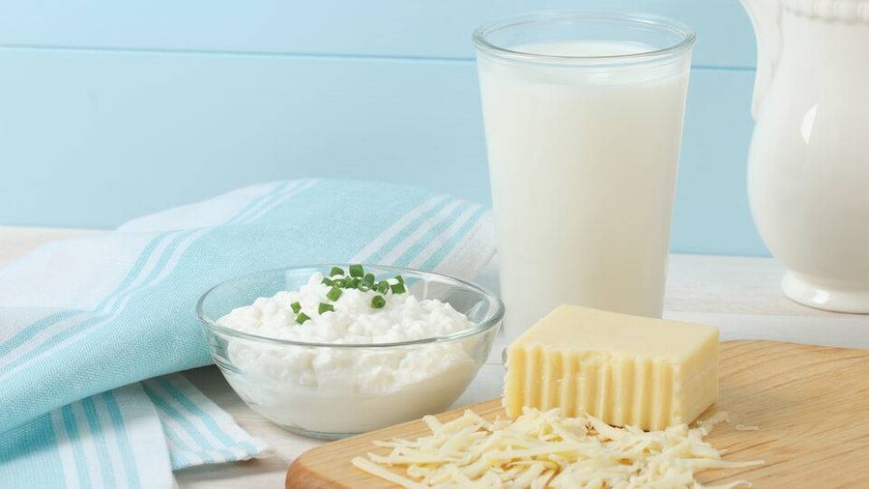 Производитель молочной продукции засудит Комитет по защите прав потребителей