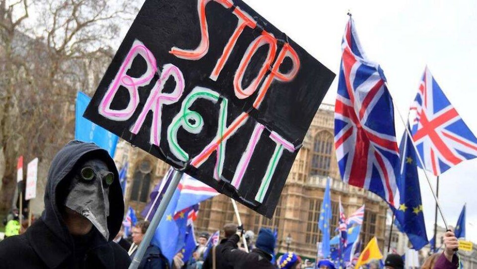 Большинство британцев выступили за отмену Brexit или повторный референдум 