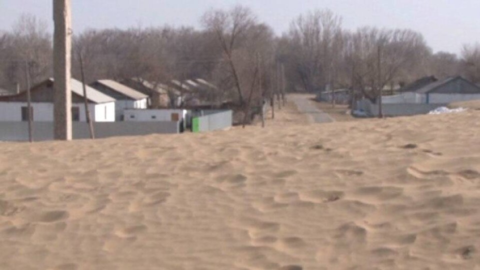 Песчаные барханы засыпают село в Алматинской области