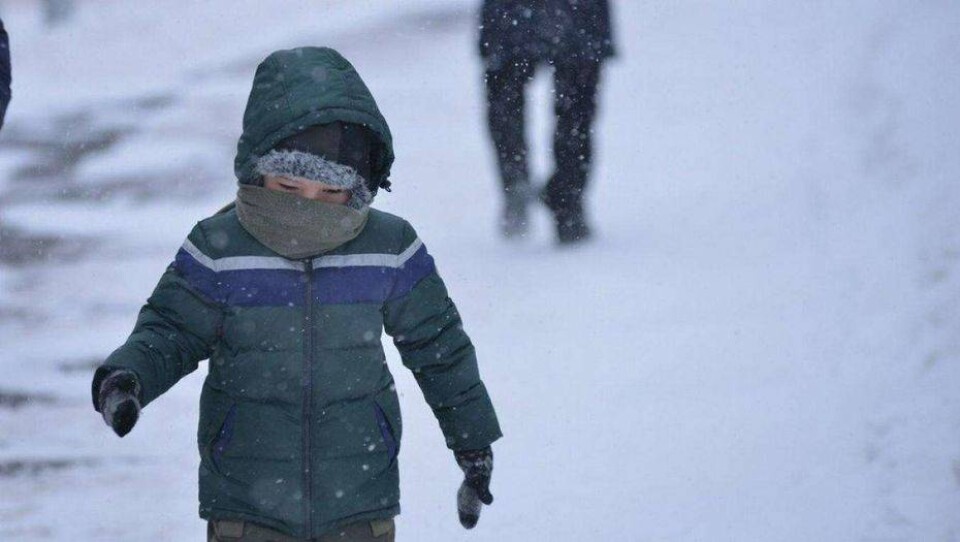 Занятия второй смены отменили в Астане, Караганде, Павлодаре и Семее 