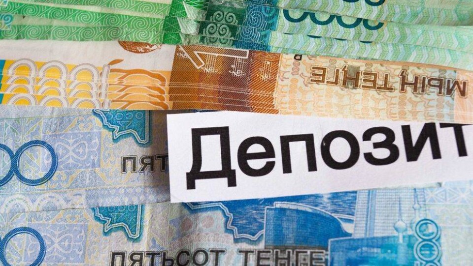 Жительница Алматинской области объявила войну сиротству