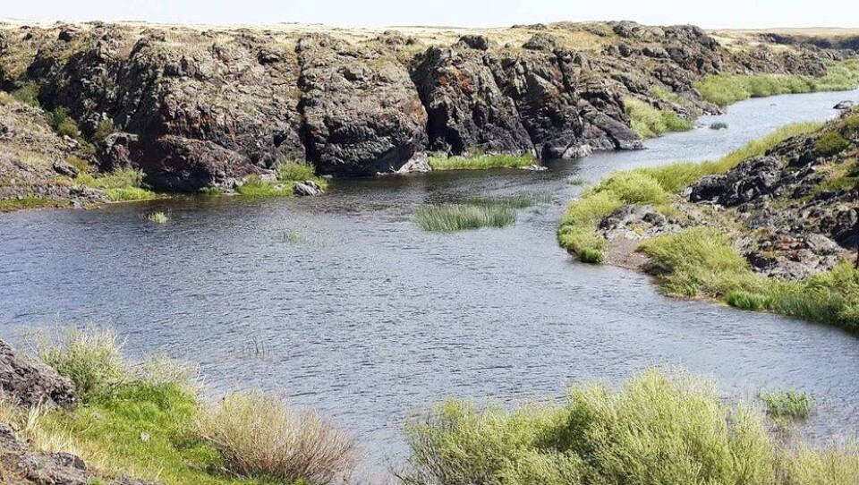 Реконструкцию Селетинского водохранилища профинансируют не раньше 2019 года