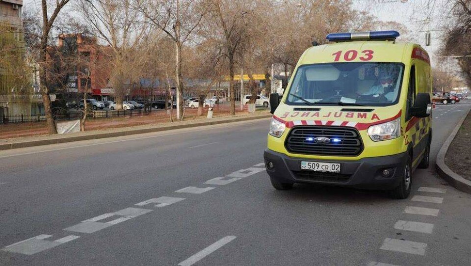 Фото Алмаза Толеке