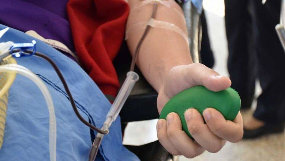 В Китае тяжело больных пневмонией начали лечить с помощью плазмы выздоровевших пациентов