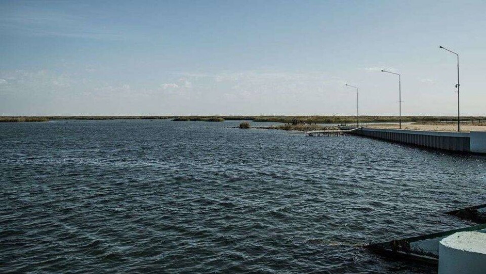 На первый этап восстановления Сырдарьи и Аральского моря выделили 9,5 млрд тенге