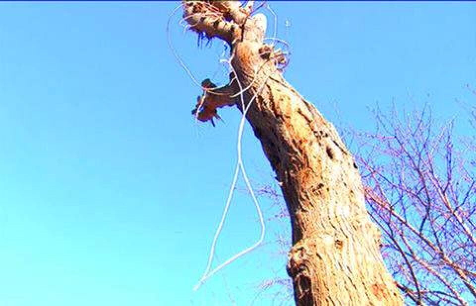 Фото informburo.kz