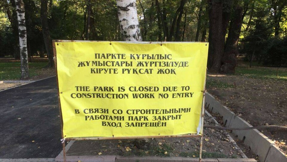 Фото Алмаза Толеке