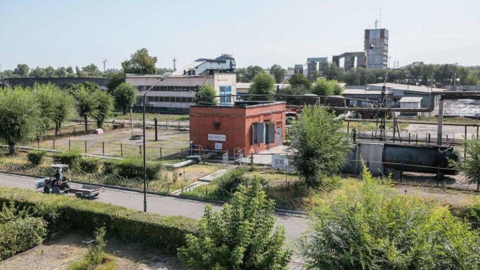 Фото Алмаза Толеке