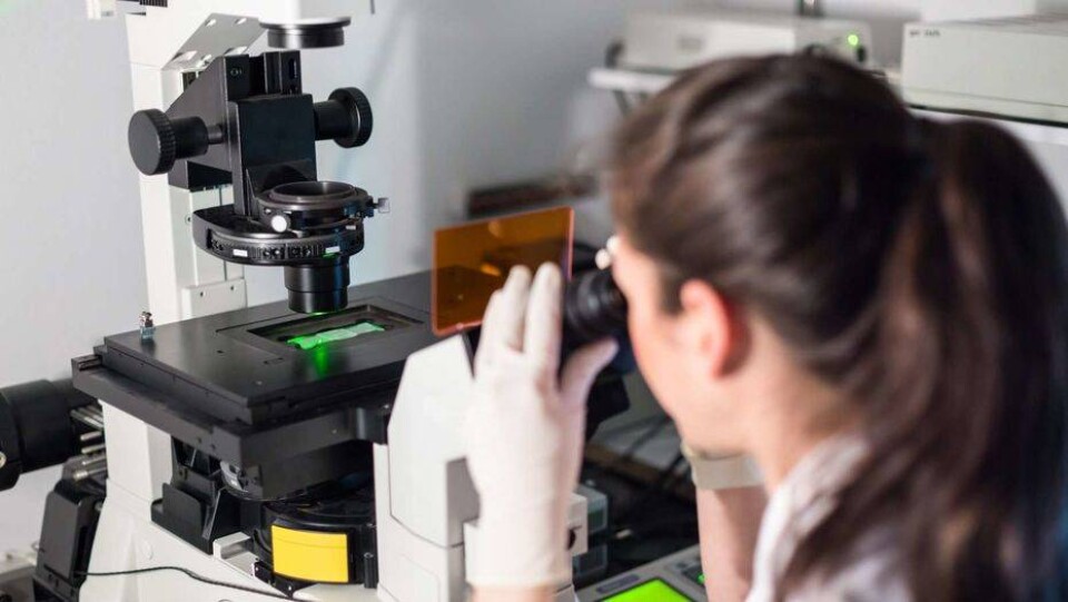 В США начались клинические испытания технологии CRISPR для лечения онкологии
