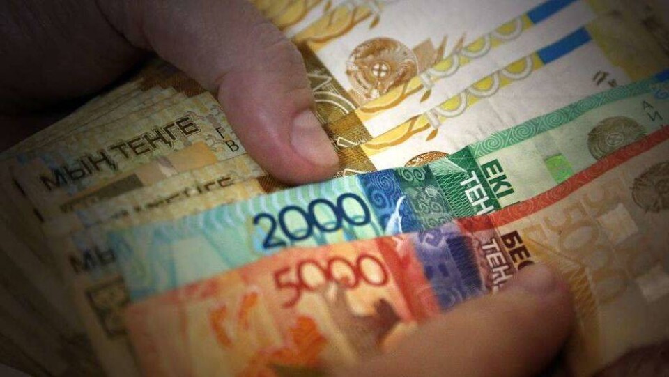 Экс-бухгалтер Алматинского зоопарка признана виновной в хищении 32 млн тенге