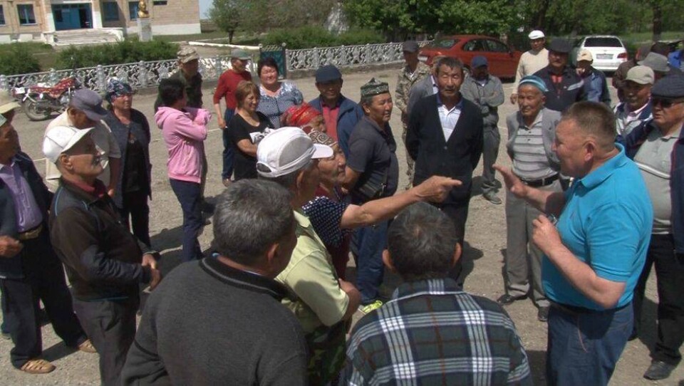 В Алматинской области гибнет скот из-за того, что пастбища отдали в частные руки