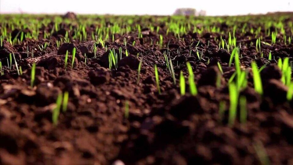 Agriacta.com