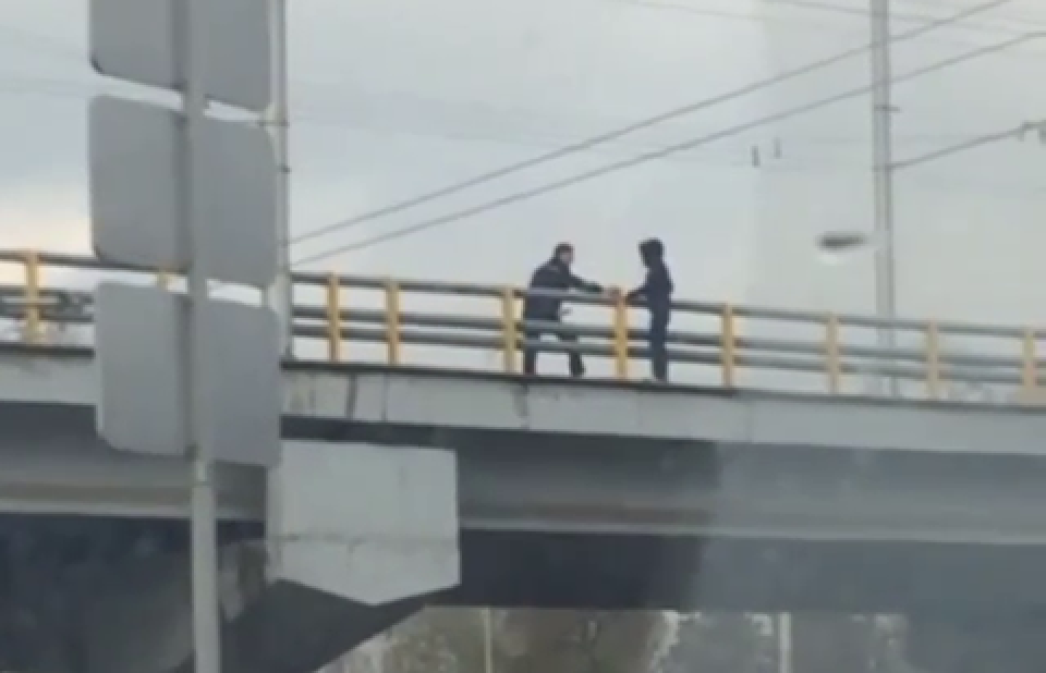 скриншот видео с сайта Instagram.com