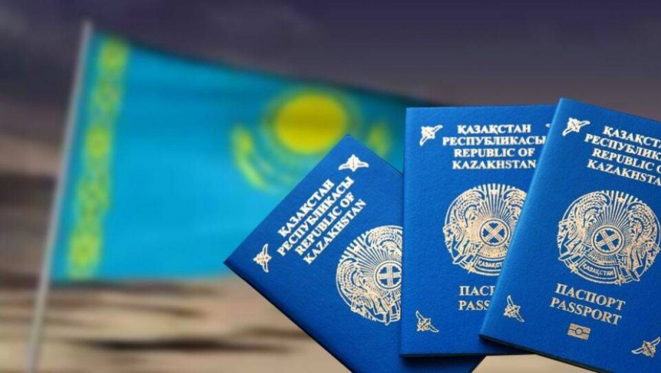 За какие грехи могут принудительно лишить гражданства
