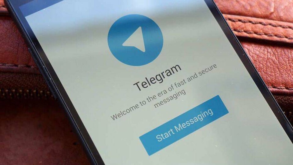 Telegram согласился раскрывать спецслужбам данные подозреваемых в терроризме 