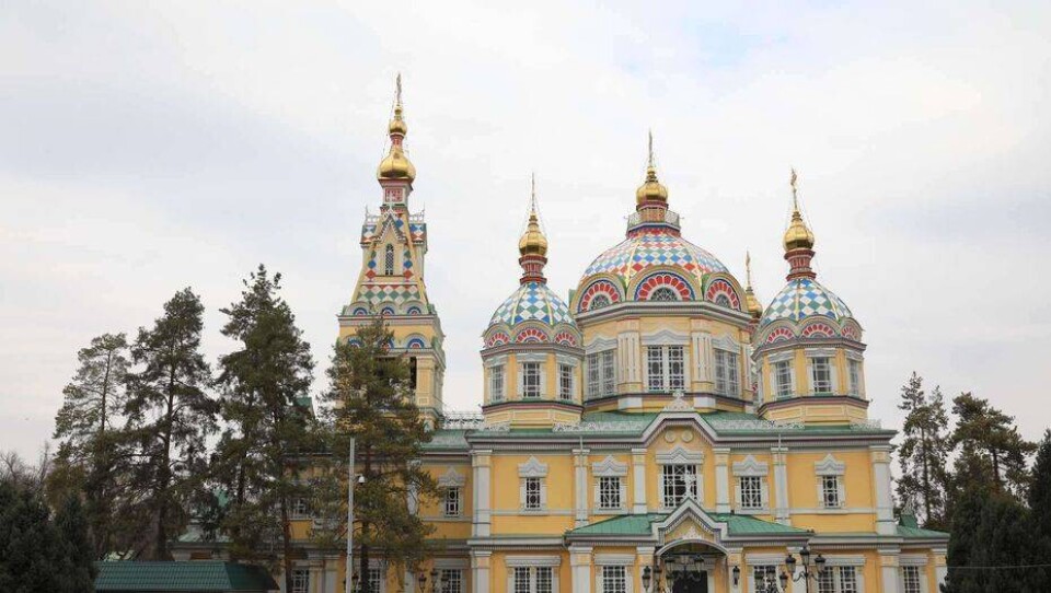Фото Алмаза Толеке