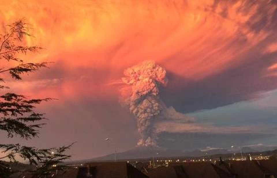 Фото Fusion Terrestre