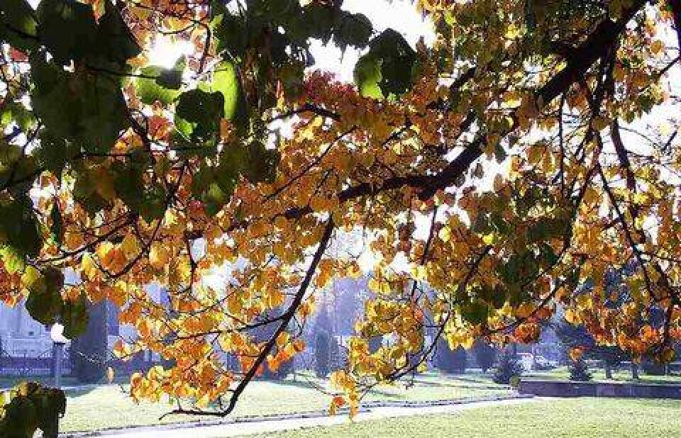 Фото morozov-vv.narod.ru