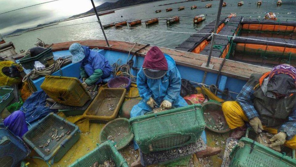 Фото fluger.ru сайтынан алынды