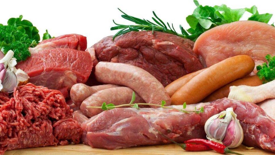 Россельхознадзор и МСХ РК пообещали следить друг за другом в мясном вопросе