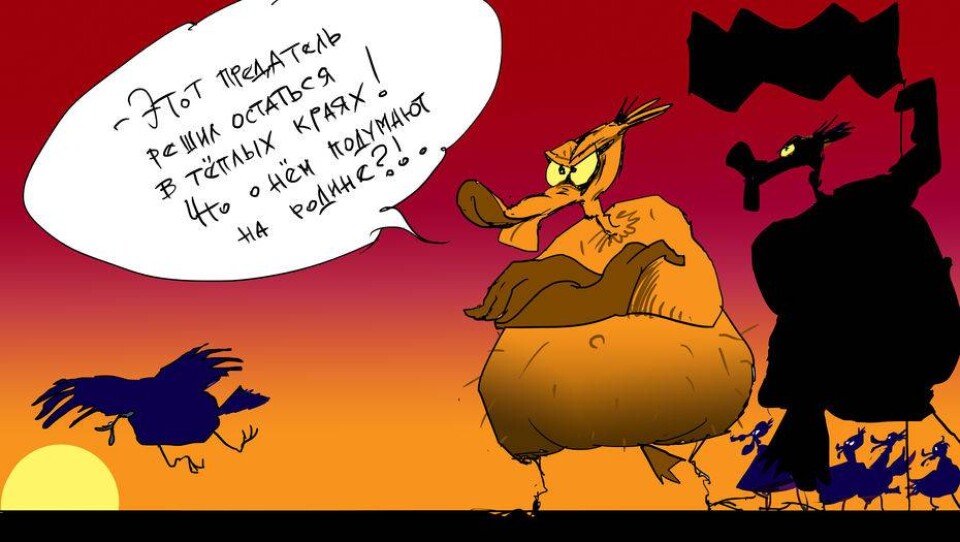 рисунок Ибрагима Кубекова