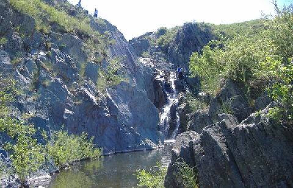 Фото informburo.kz