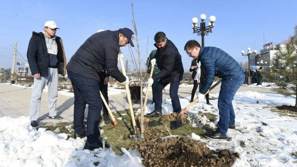 В преддверии 8 Марта на субботник в Шымкенте вышли исключительно мужчины