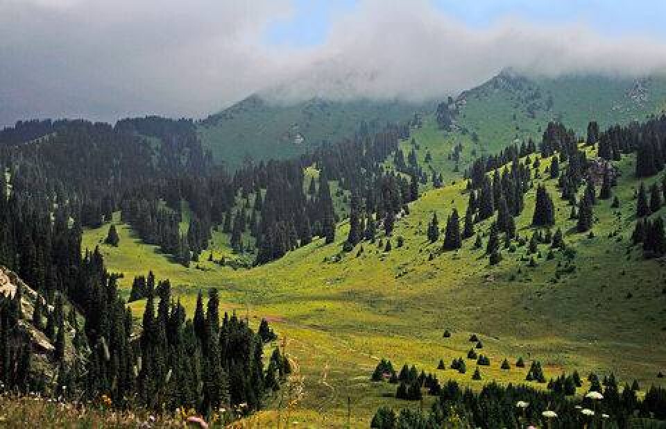 Фото с сайта yvision.kz