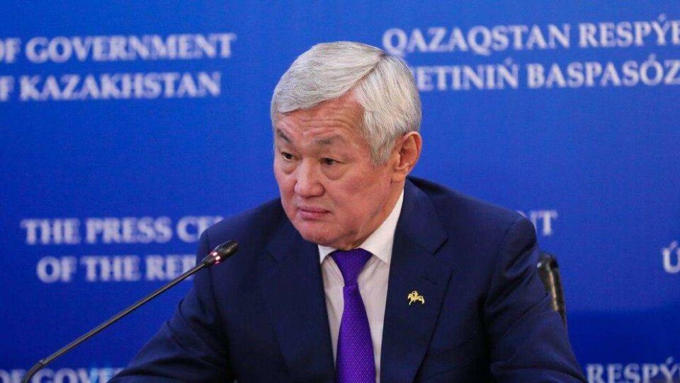 Сапарбаев: Срок получения гражданства оралманам продлили до конца года