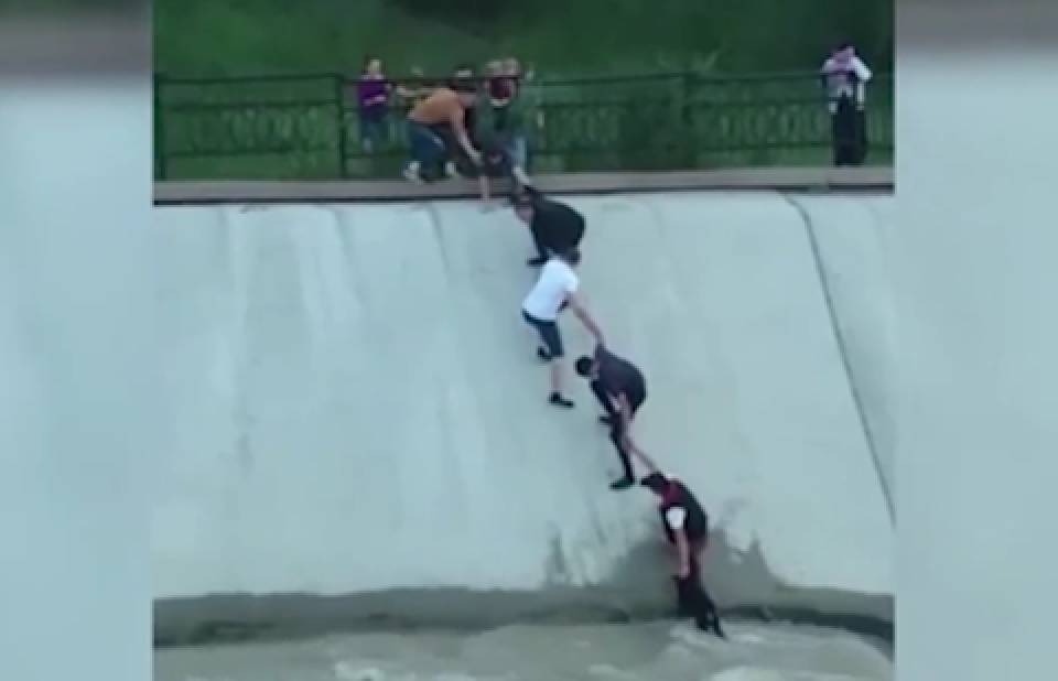 Скриншот видео
