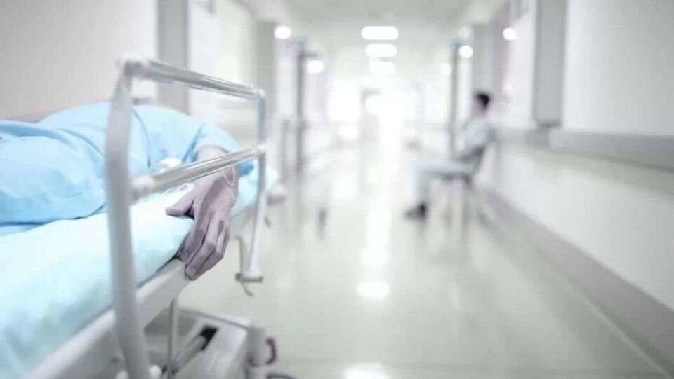 Қан тапсырам деп жан тапсырды. Астана ауруханаларында адам өлімінің жиілеуіне не себеп? Жаңалықтарға шолу 