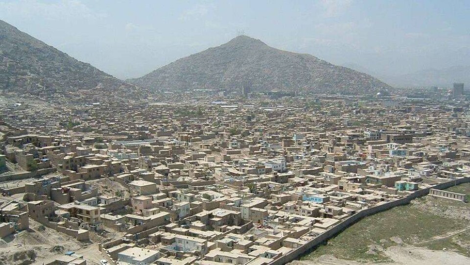 Убитый террористами в Кабуле казахстанец был бизнесменом