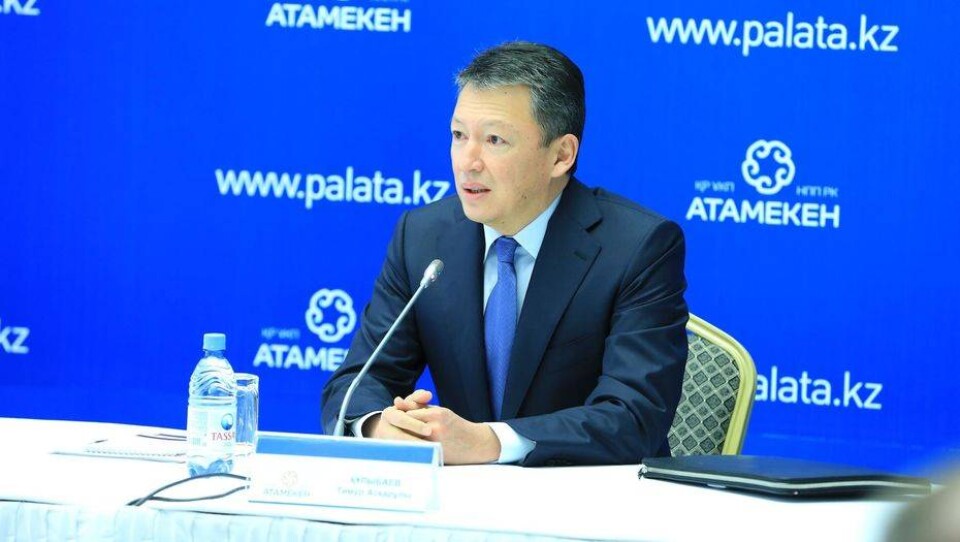 Тимур Кулибаев назвал свободную нишу в бизнесе