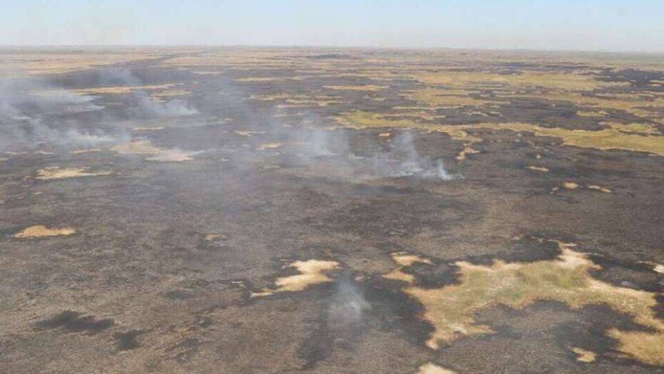 Несколько дней горит камыш вдоль Каспия в Атырауской области