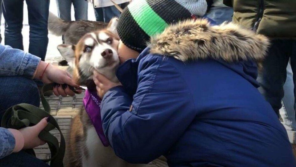 Служебные и ездовые собаки подарили праздник особенным детям в Алматы