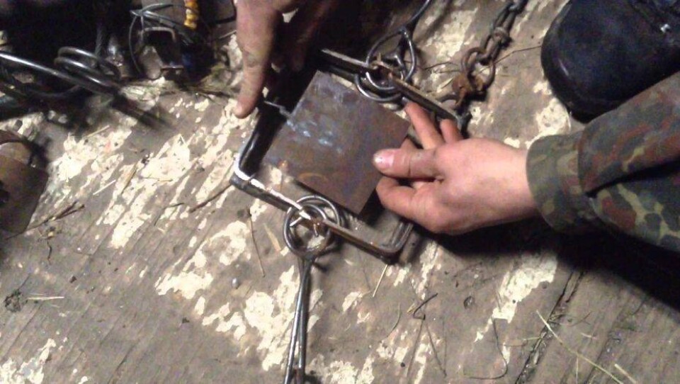 Пограничники в ВКО задержали с поличным браконьера