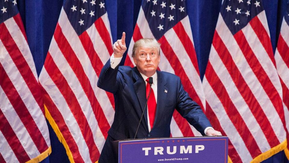 Демократы придумали, как сместить Трампа с поста президента к 2020 году