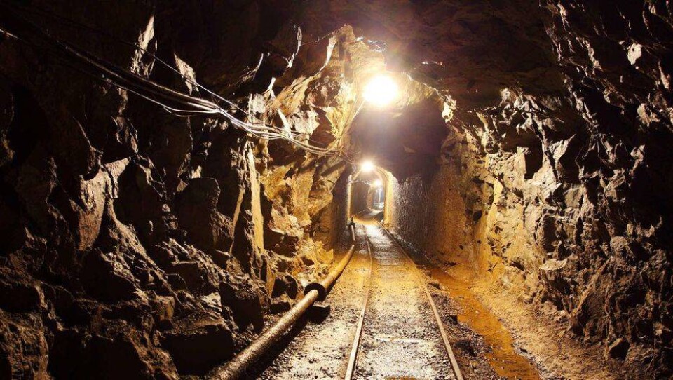 Glencore передумал продавать крупнейший рудник по добыче золота в Казахстане