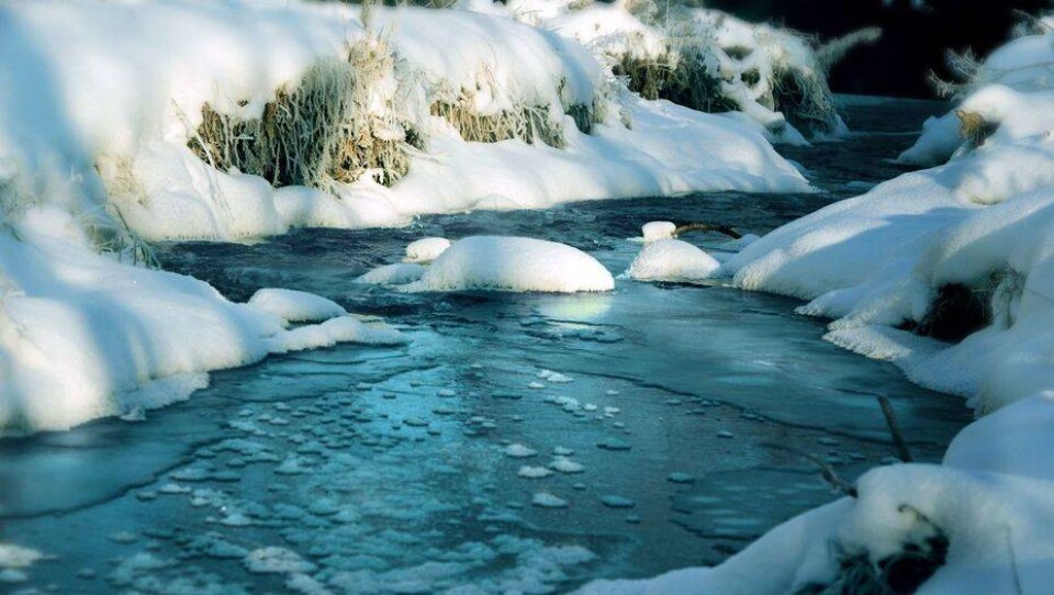 Фото с сайта pixabay.com