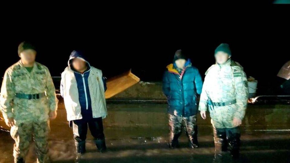Пограничники в Атырауской области задержали браконьеров с 245 килограммами осетра